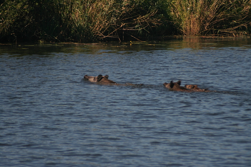 Kummerower See